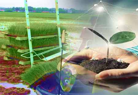 Digital Marketing's Role in the Oil and Gas Sector